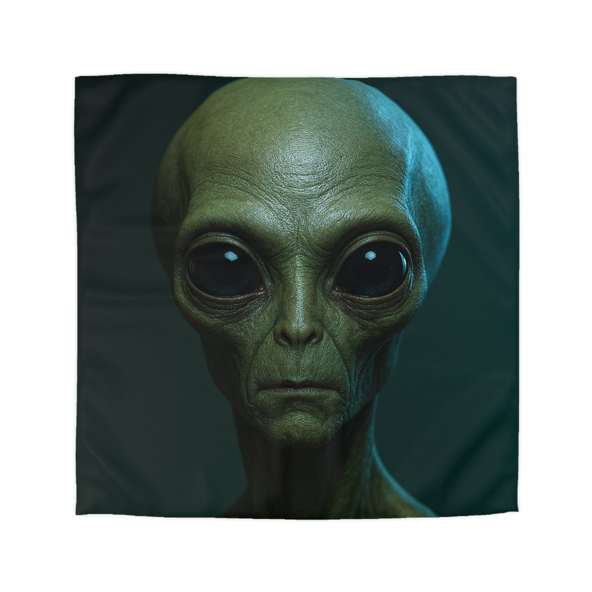 Microfiber Duvet Cover