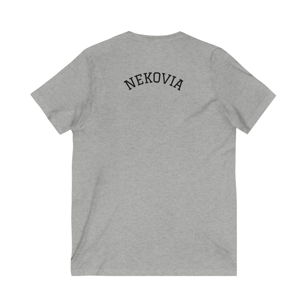 Unisex Jersey Short Sleeve V-Neck Tee
