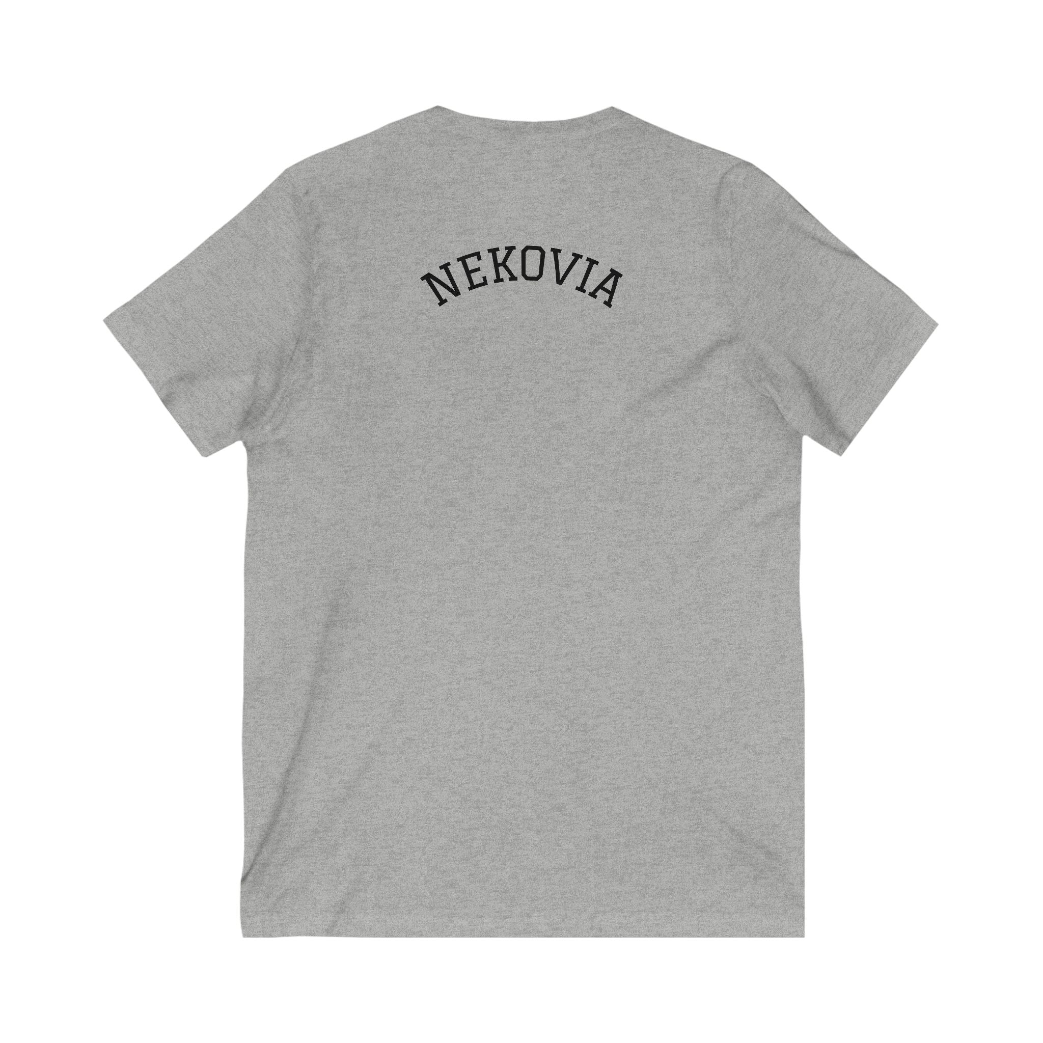 Unisex Jersey Short Sleeve V-Neck Tee