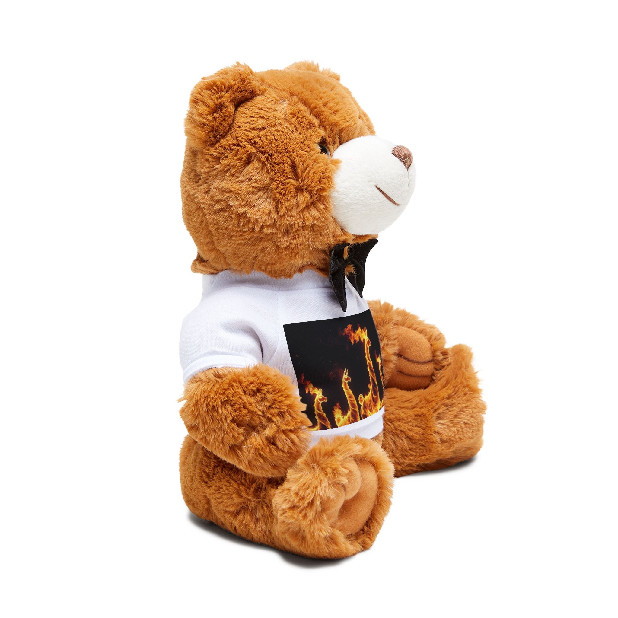 Teddy Bear with T-Shirt