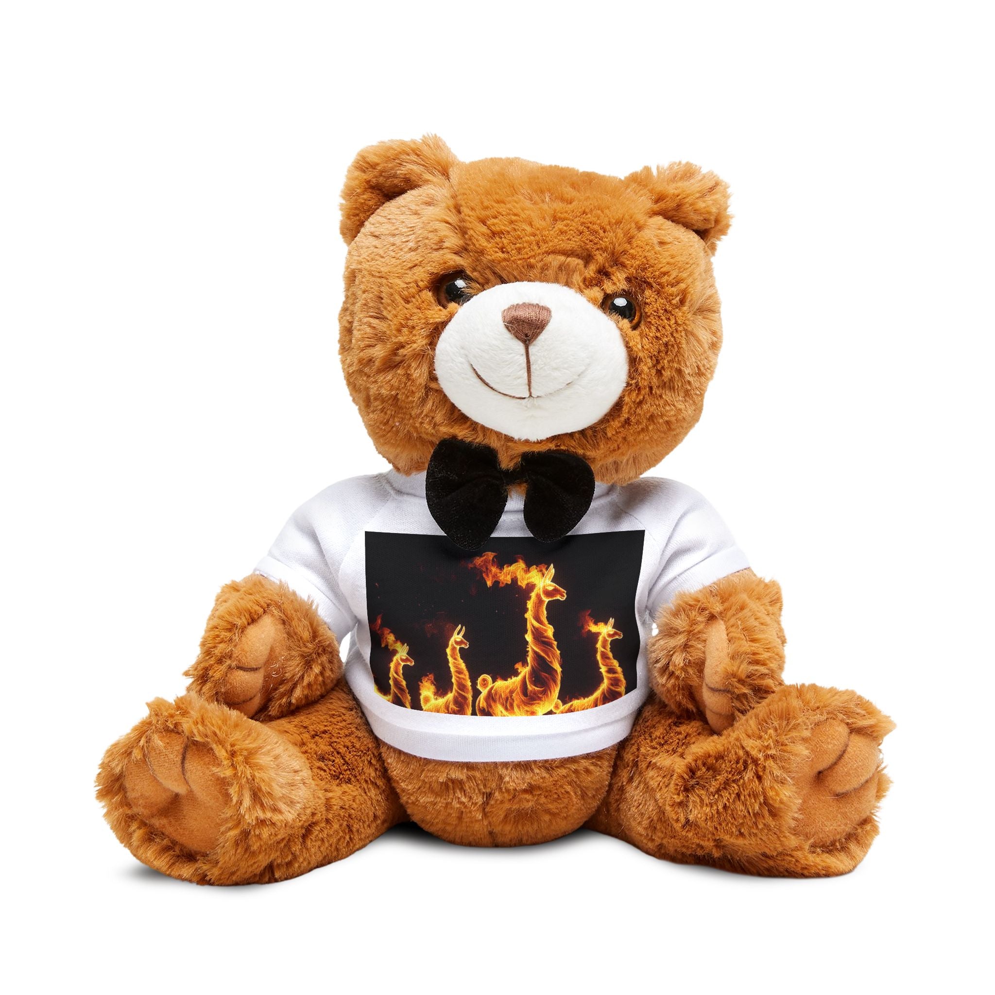 Teddy Bear with T-Shirt