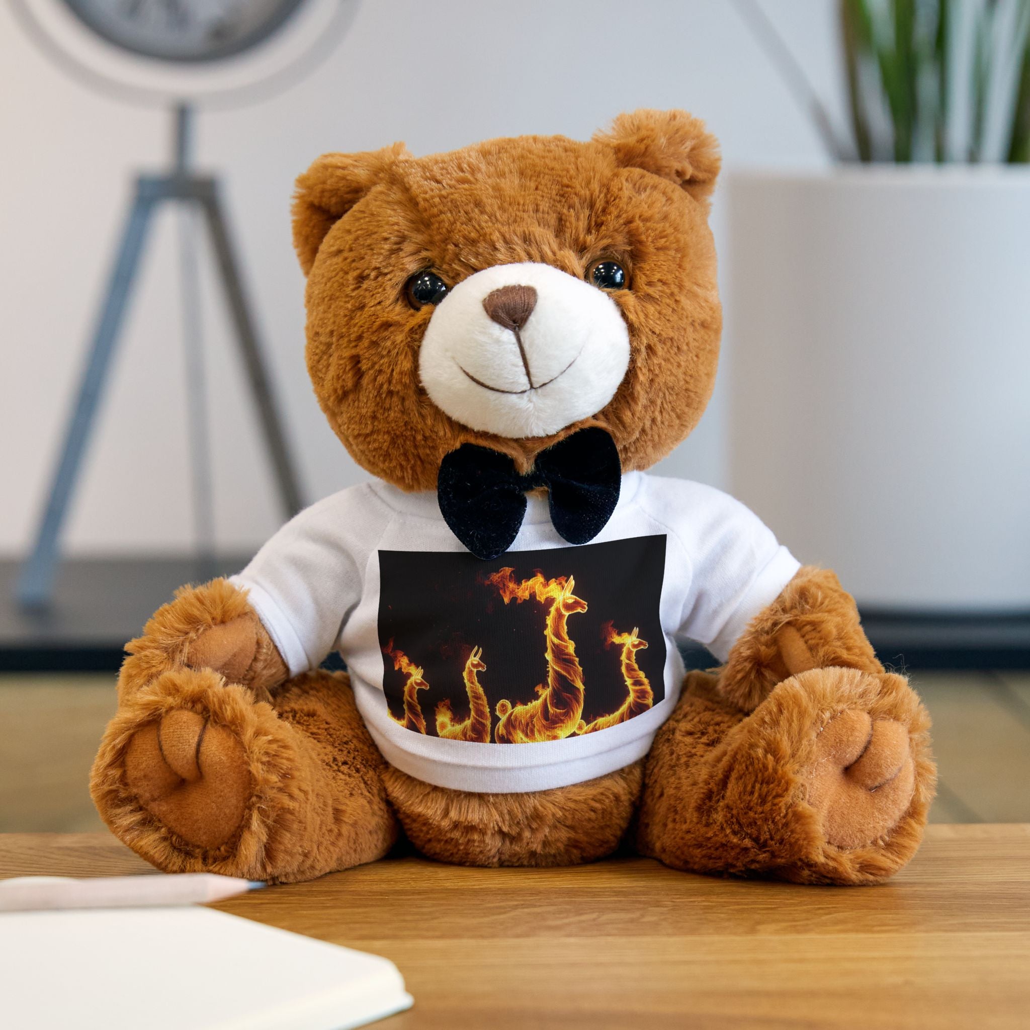 Teddy Bear with T-Shirt