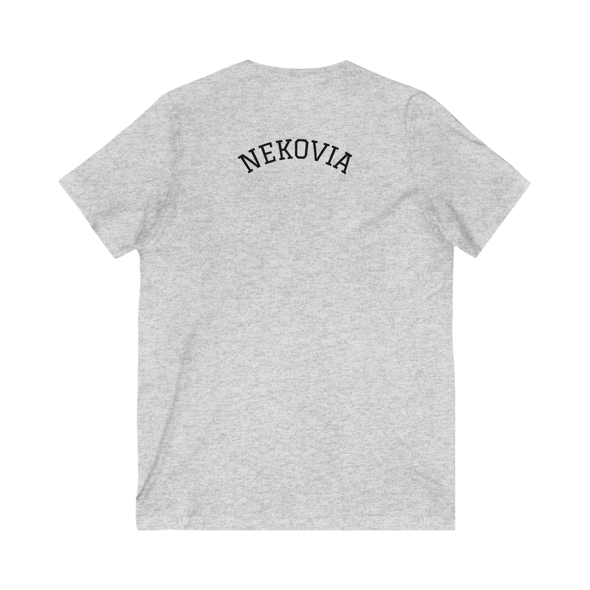 Unisex Jersey Short Sleeve V-Neck Tee