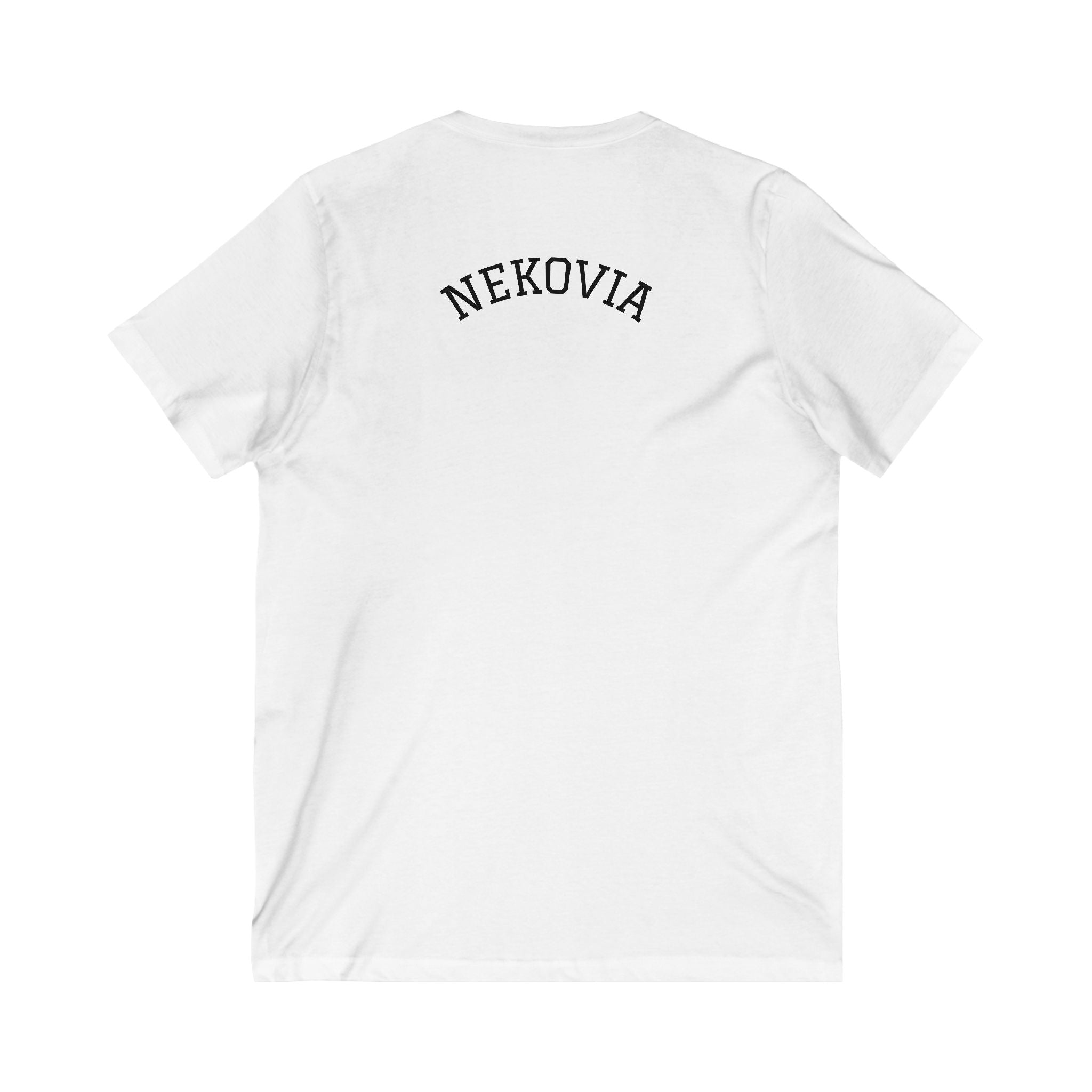 Unisex Jersey Short Sleeve V-Neck Tee
